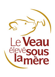 Accueil
